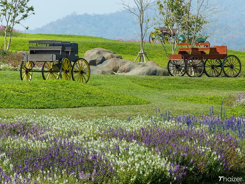 Singha Park (Boon Rawd Farm), Chiang Rai