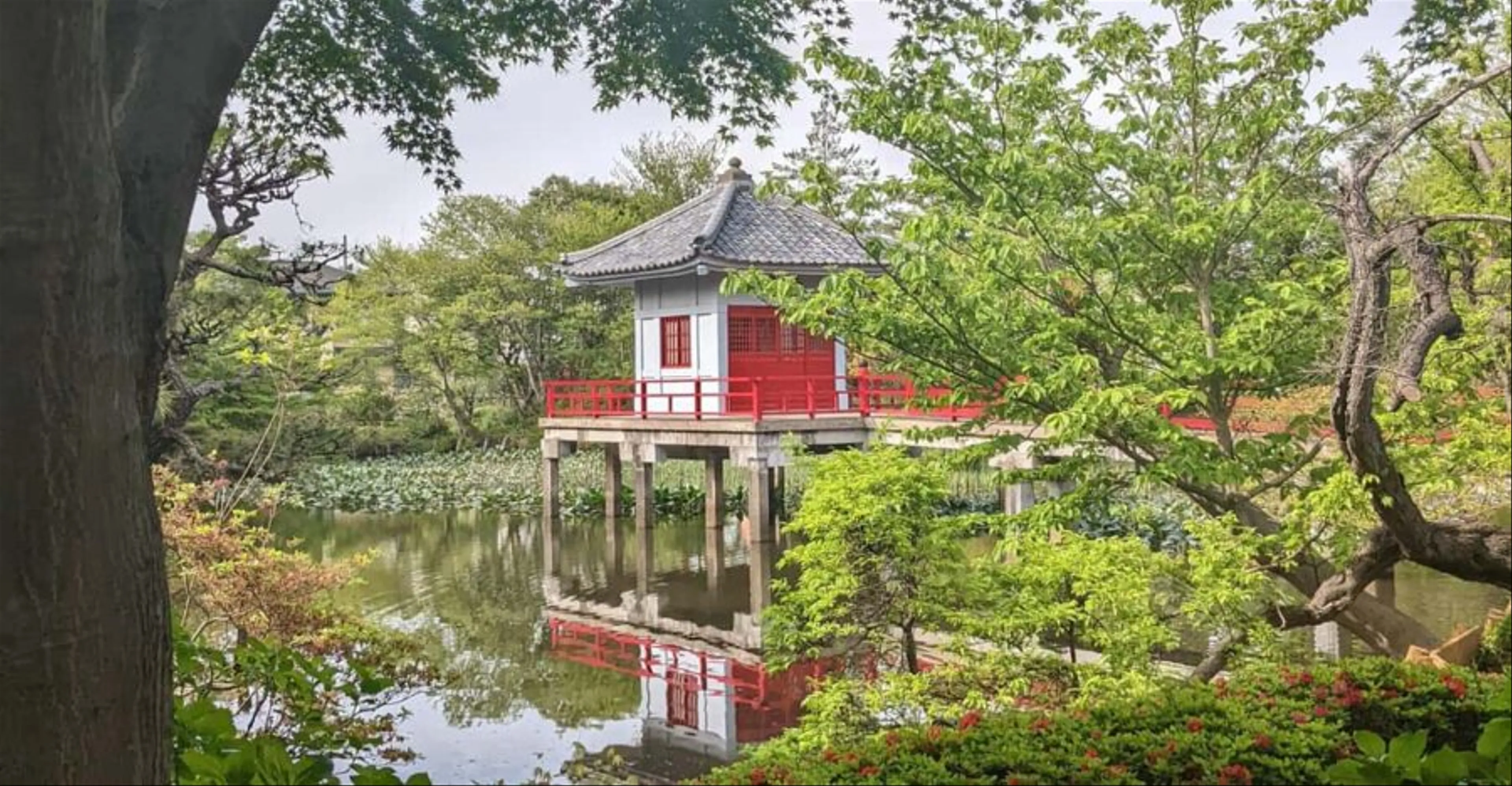 Uncover Tokyo's Hidden Gems: From Secret Gardens to Quiet Temples