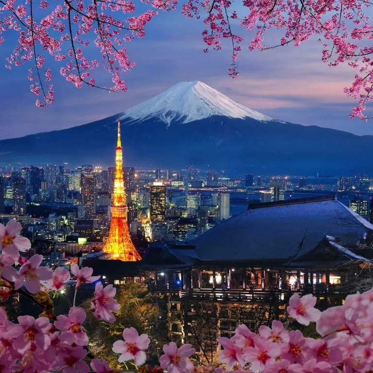 Khám Phá Tokyo: Thủ Đô Hiện Đại và Truyền Thống