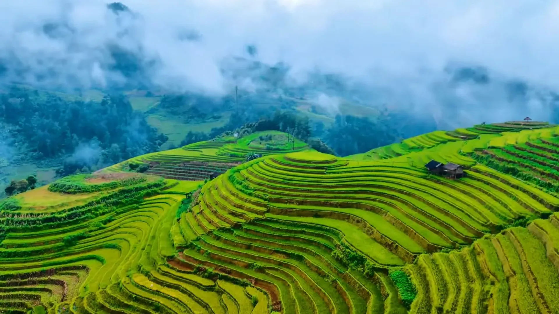 Sapa's Ethnic Diversity and Stunning Terraces