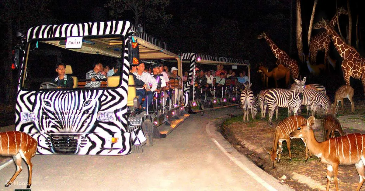 Book Chiang Mai Night Safari Park Tour Online - Klook