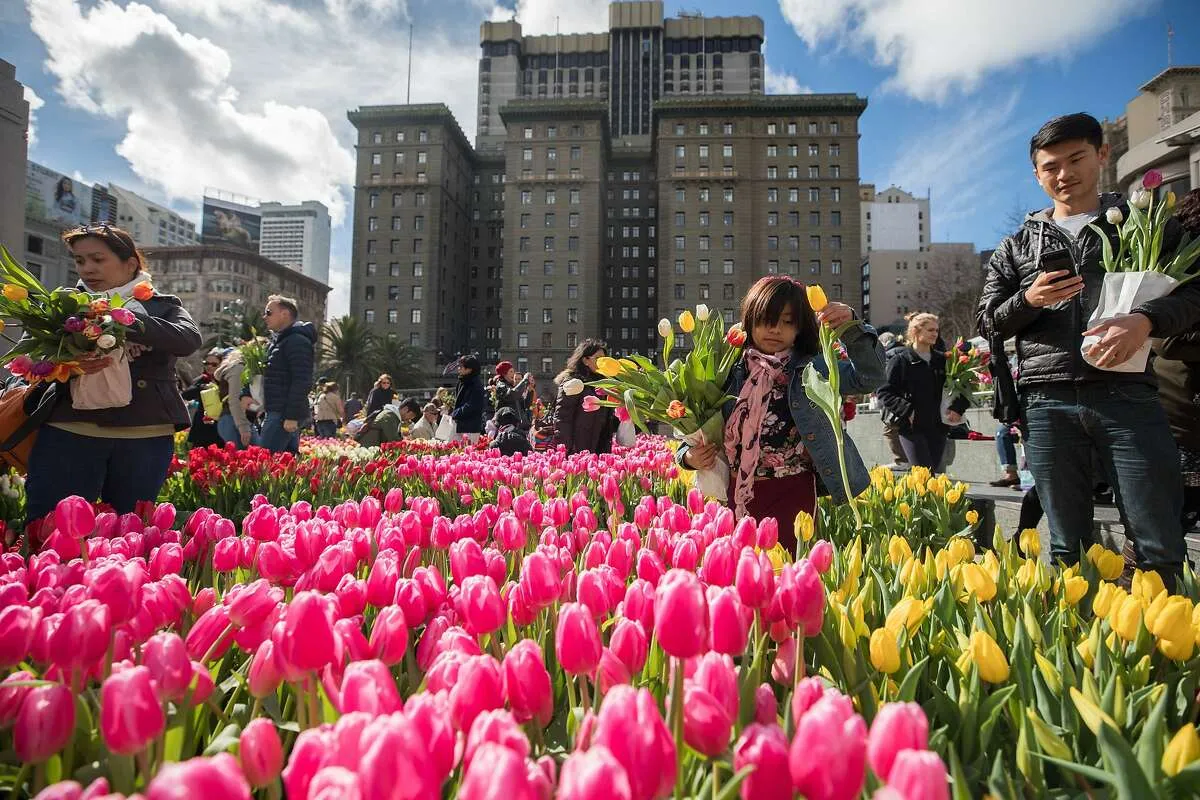 Seasonal Events and Festivals in the Squares