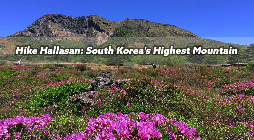 The Majestic Hallasan: South Korea’s Highest Peak