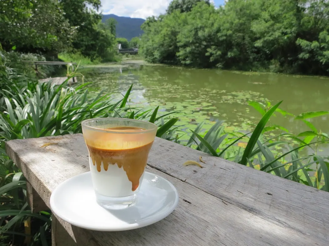 Introduction to Chiang Mai's Coffee Scene