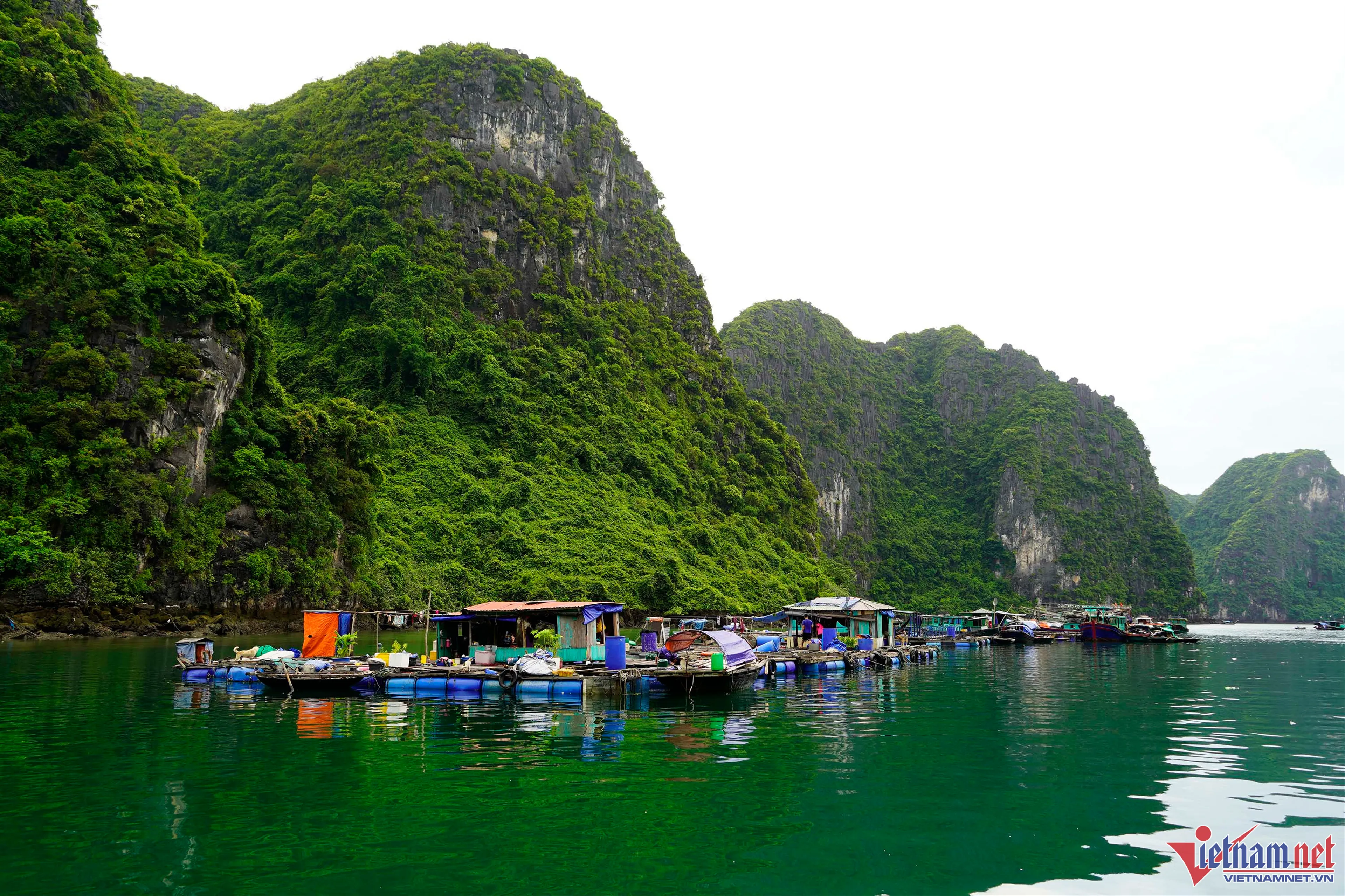Khám Phá Làng Chài Lunenburg: Di Sản Thế Giới Bên Bờ Đại Tây Dương