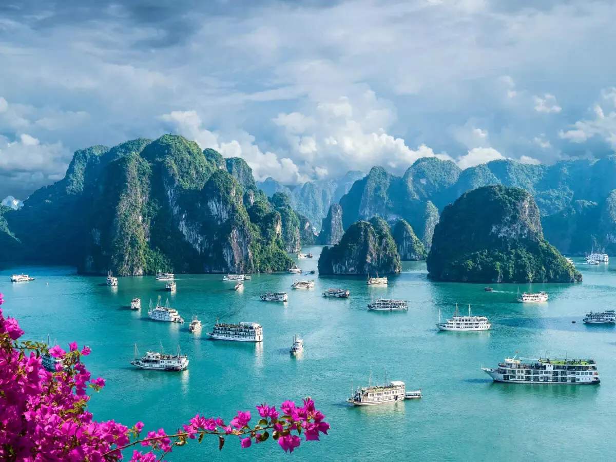 Tips for Capturing Stunning Photos