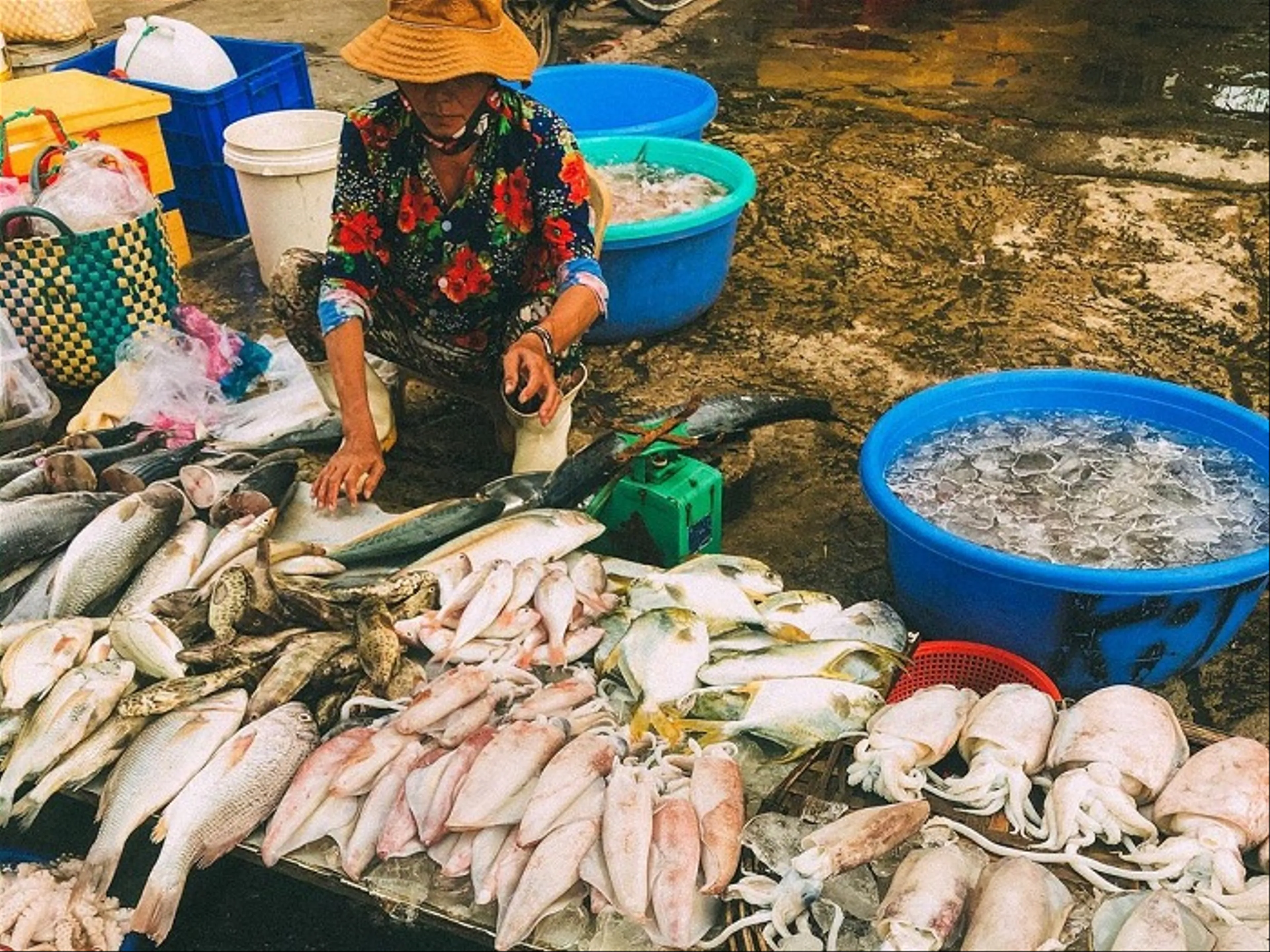 Thưởng Thức Hải Sản Tươi Ngon Tại Chợ Đầm Nha Trang