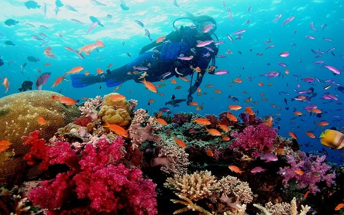 Đảo Bình Lập Nha Trang - hòn đảo hoang sơ “đốn tim” du khách