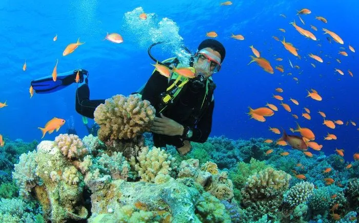 Vịnh Ninh Vân Nha Trang - 8 TRẢI NGHIỆM hấp dẫn nhất 2023