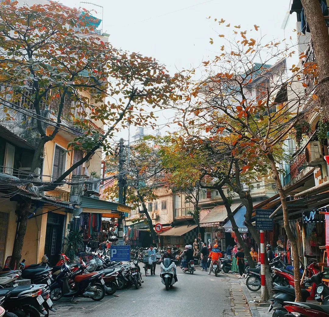 Exploring the Ancient Streets of Hanoi