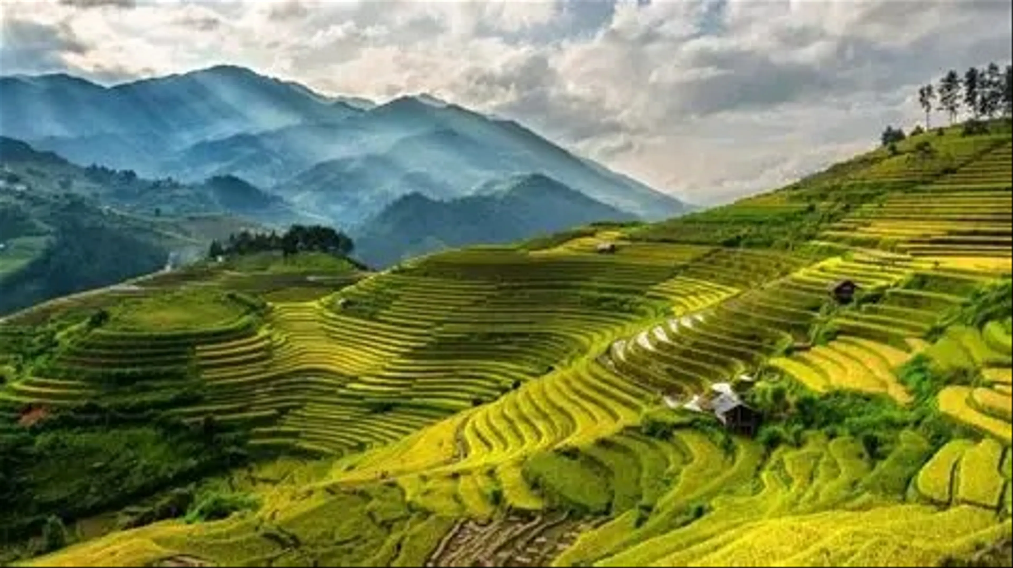 Trang Bang District
