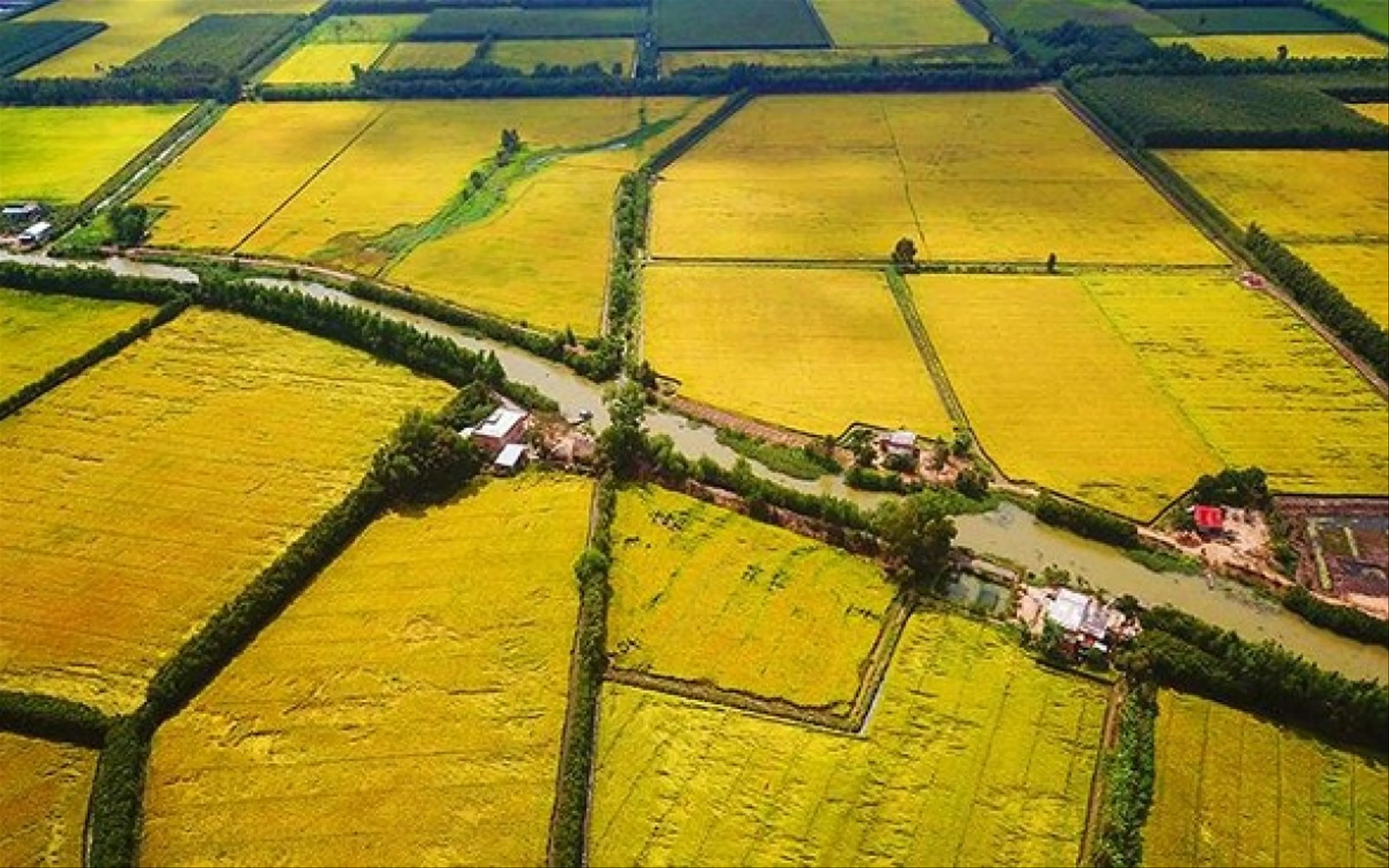 Huyện Mỹ Tú