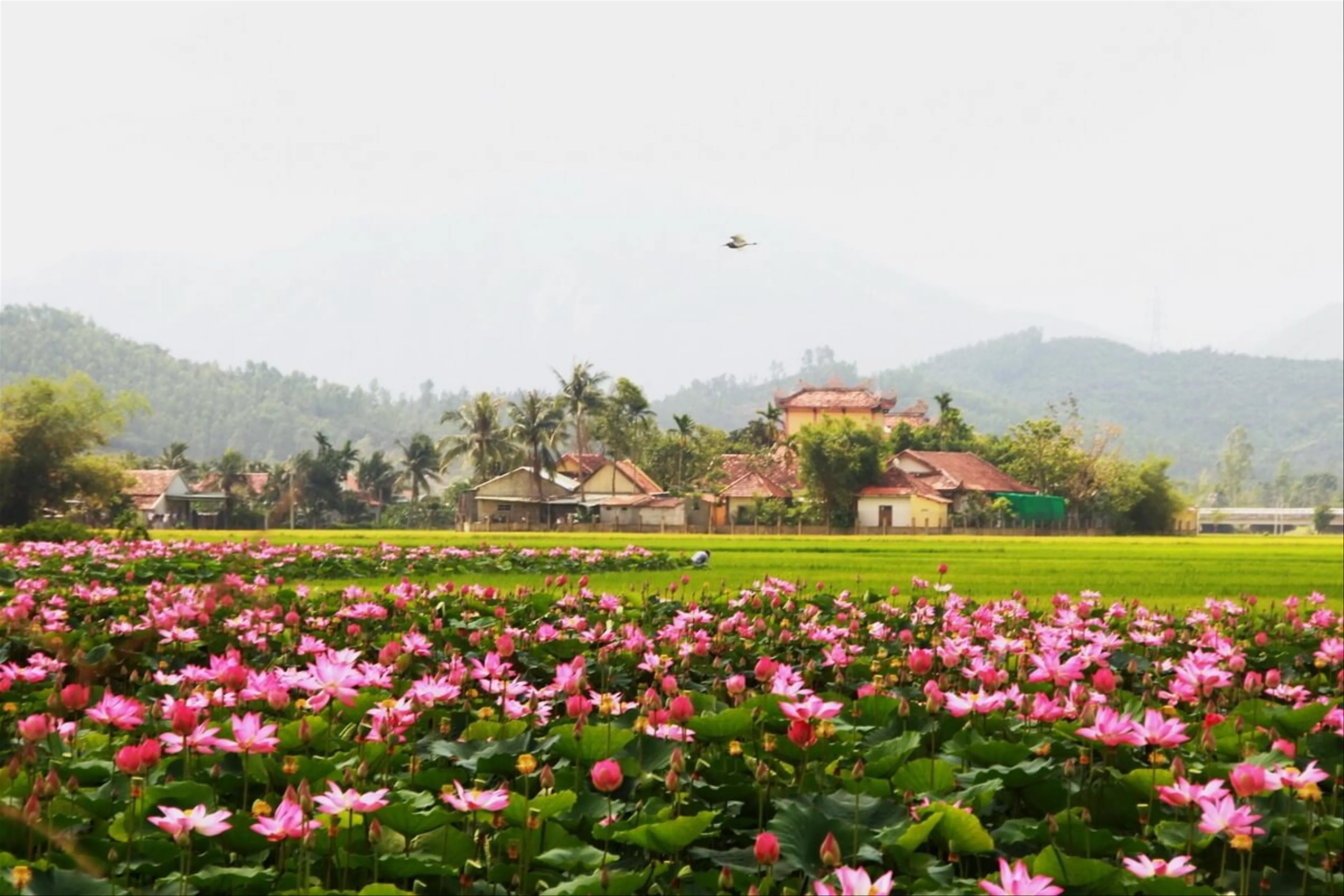 Huyện Tháp Mười