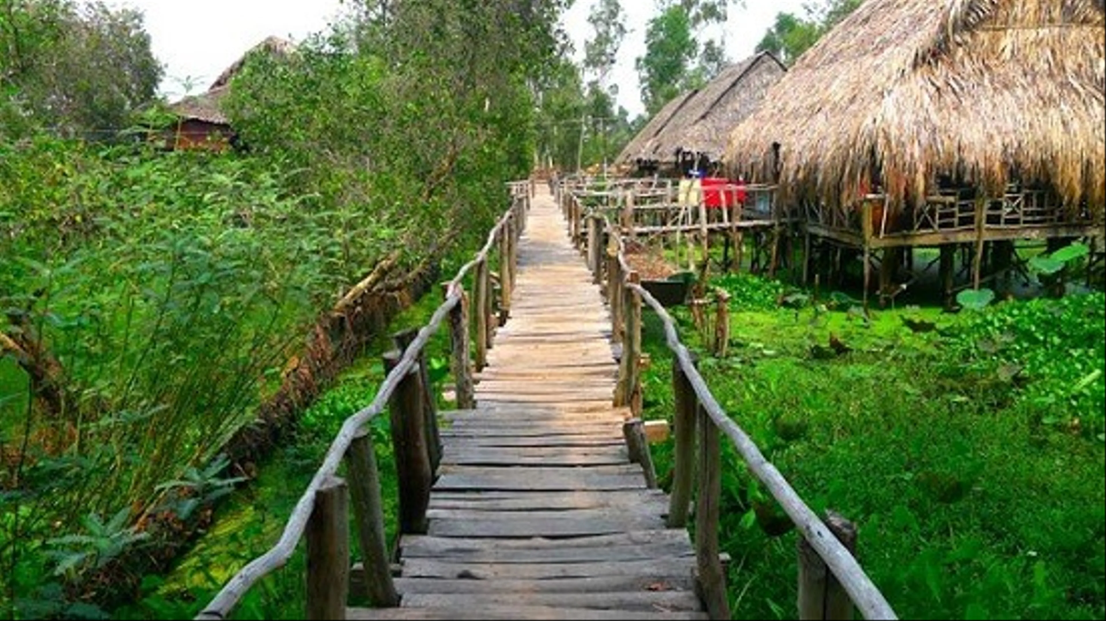 Cao Lanh City