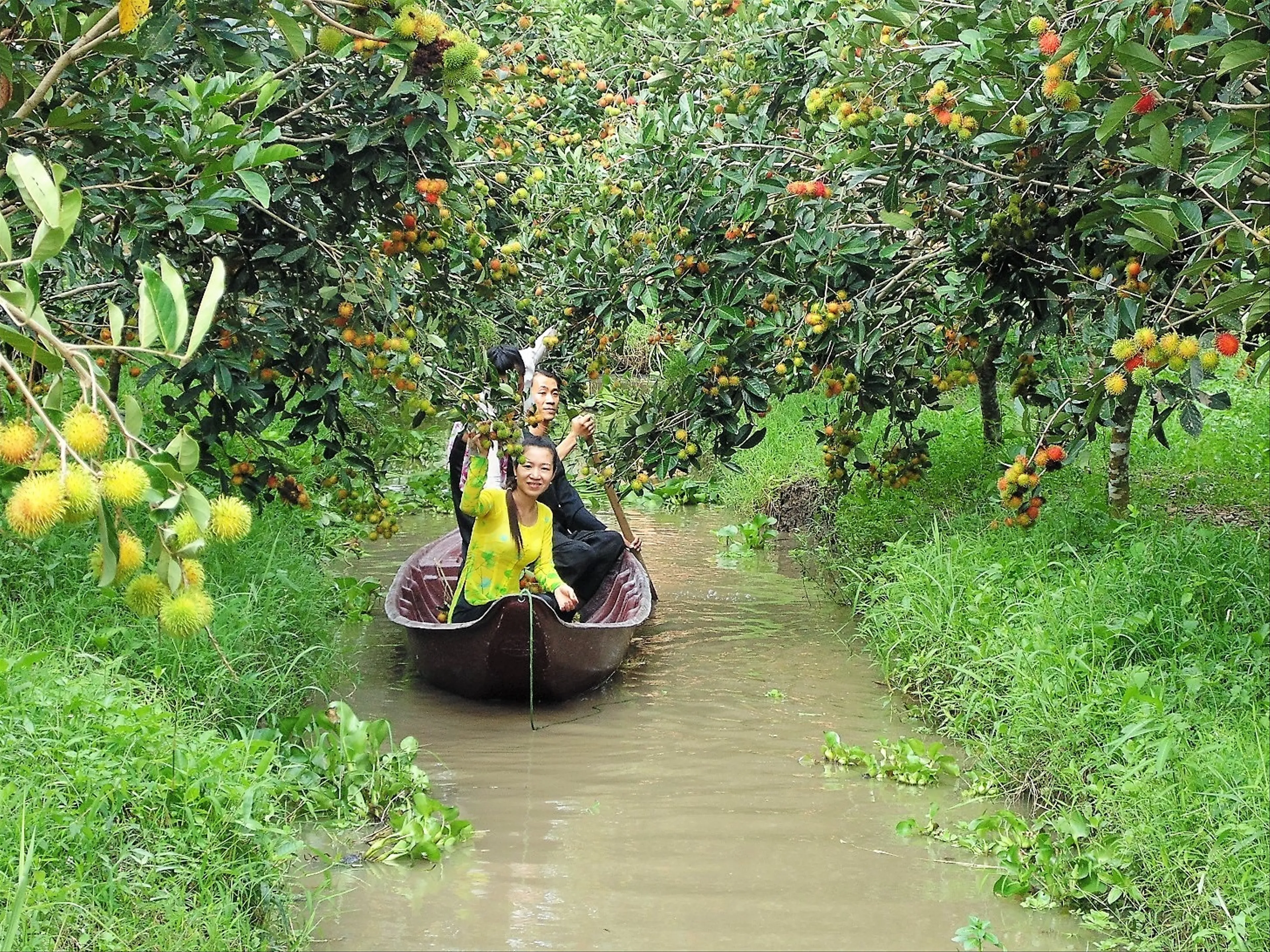 Huyện Vĩnh Lợi