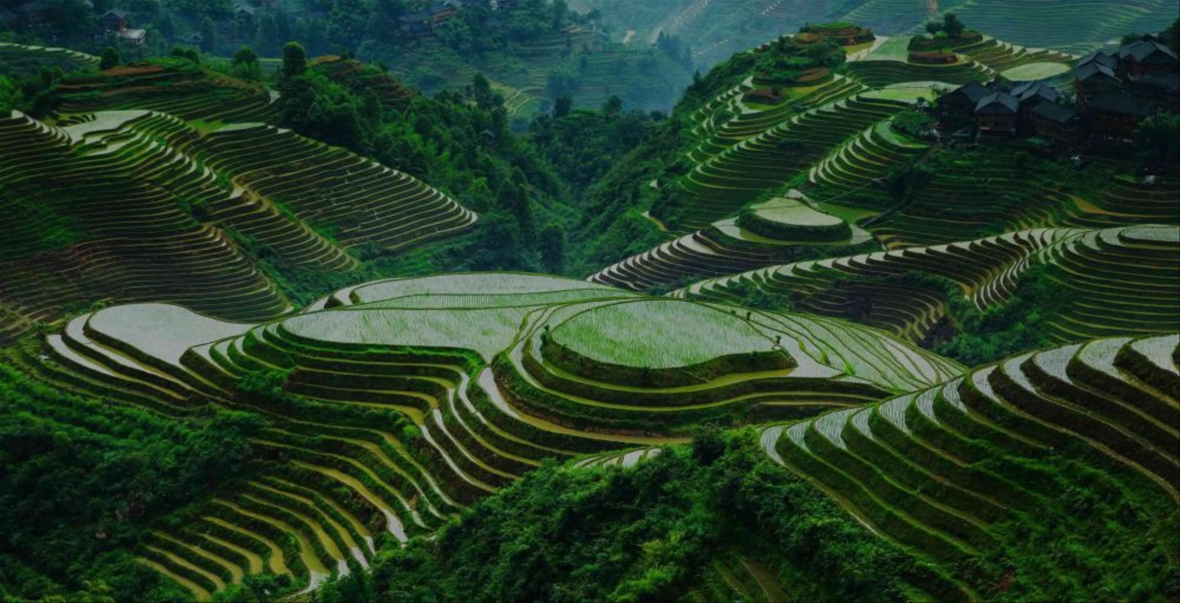 Longji Rice Terraces – Guilin’s Iconic Rice Fields Visitor Guide