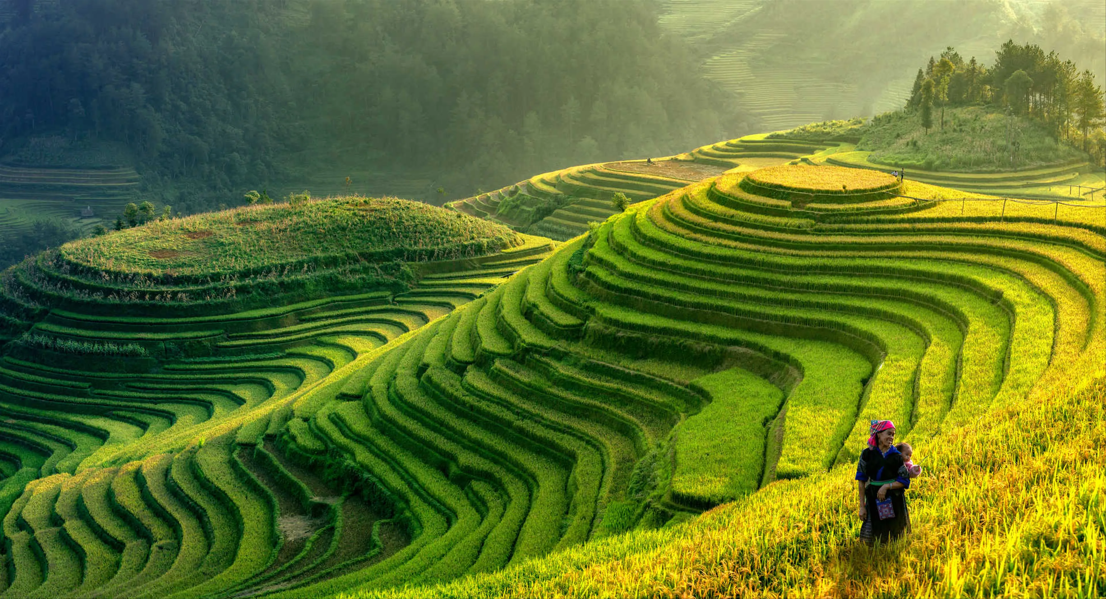 Vietnam