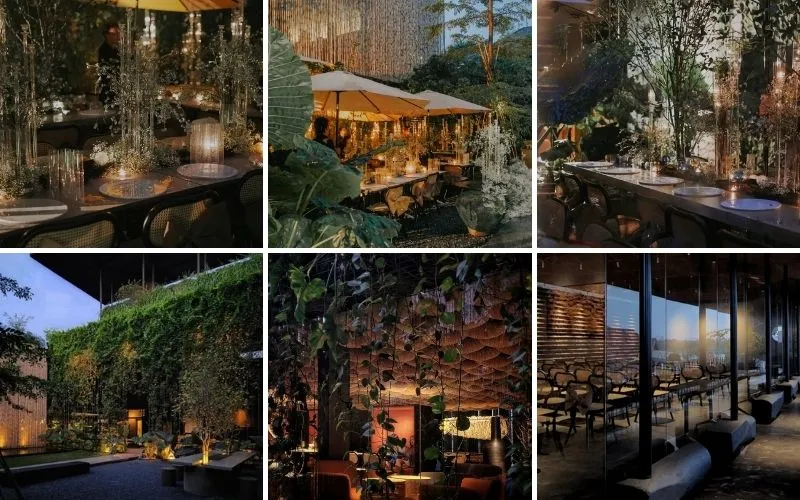 Cà Phê Đêm Khuya: Thức Cùng Portland