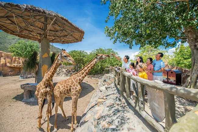 Vinpearl Safari Nha Trang, có không?