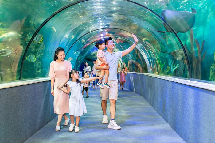 Thủy cung Times City – Địa chỉ, giá vé, kinh nghiệm vui chơi