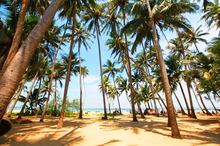 Xã đảo Tam Hải - Khám phá hòn ngọc TUYỆT ĐẸP của Quảng Nam
