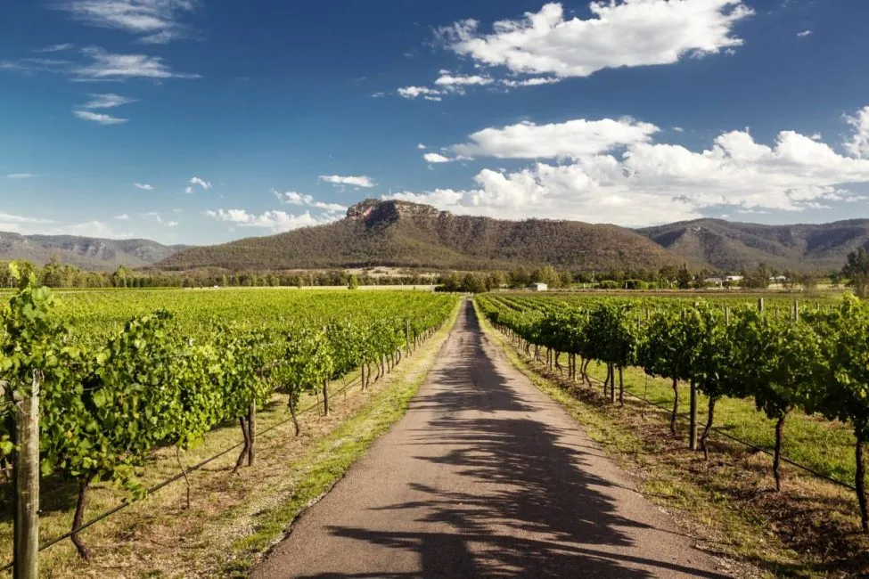 Planning Your Wine Tour: Tips and Recommendations