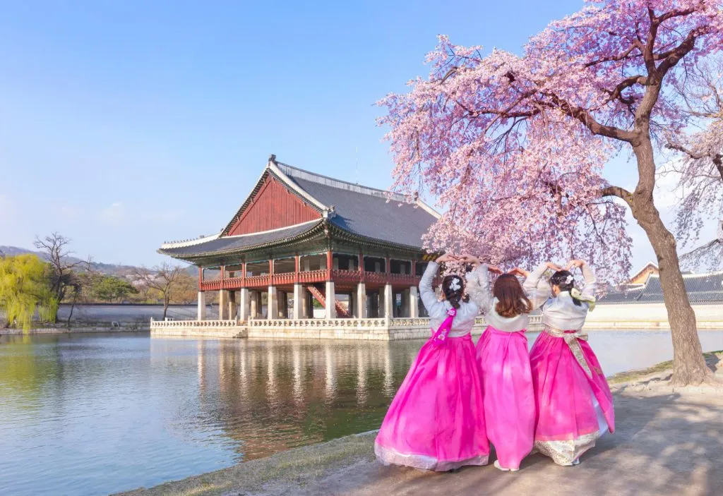 Mẹo hữu ích khi tham quan Boseong