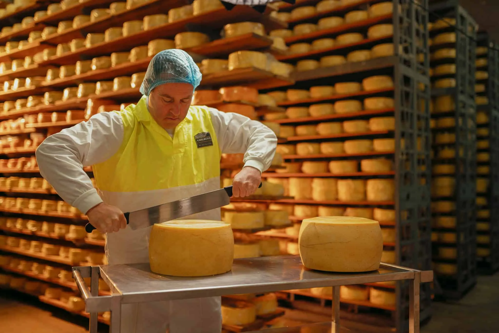 Artisanal Cheeses and Dairy: A Taste of Tasmania's Rich Pastures