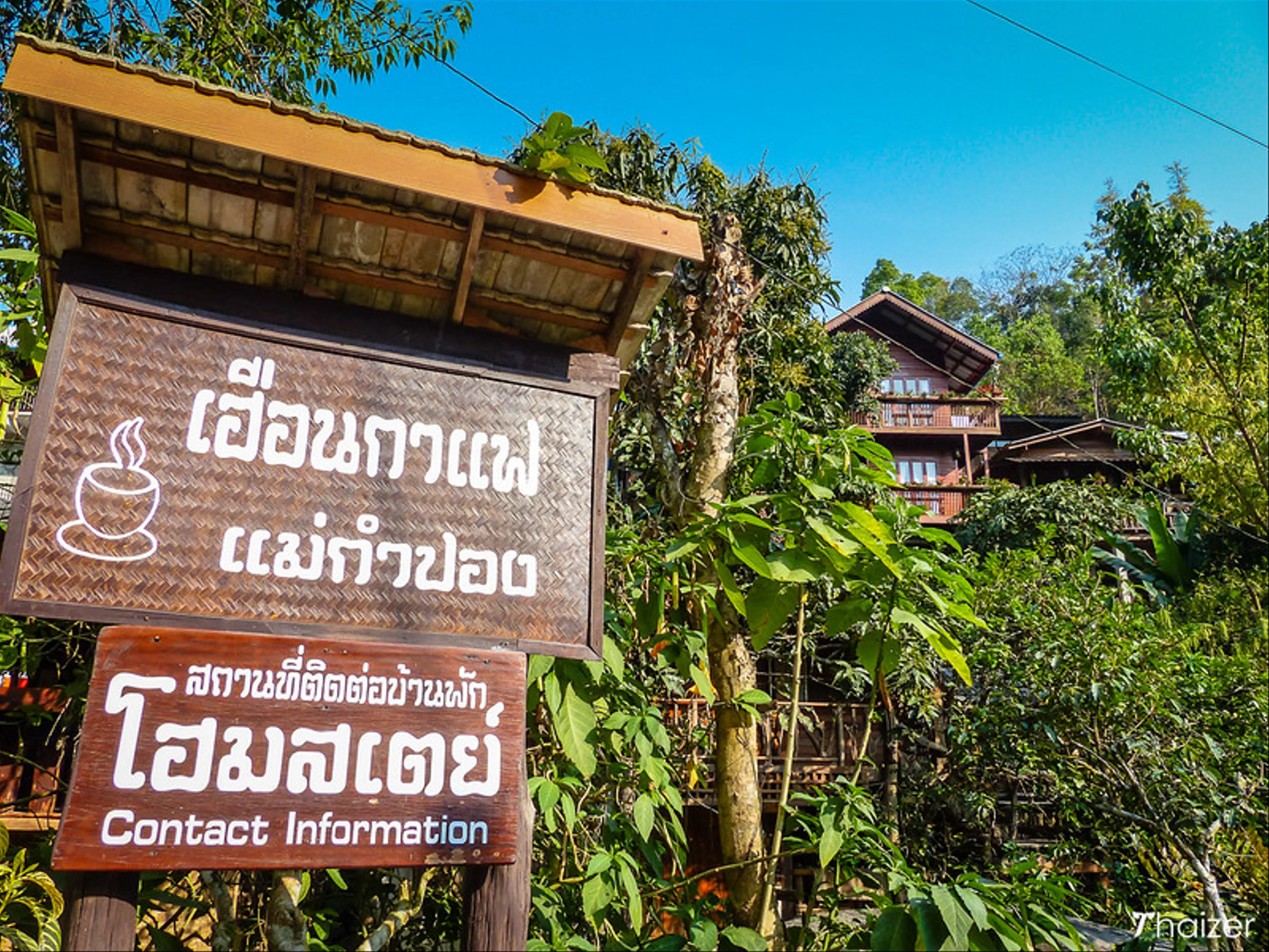 Sipping Tea in the Ancient Village of Mae Kampong: A Chiang Mai Hidden Gem