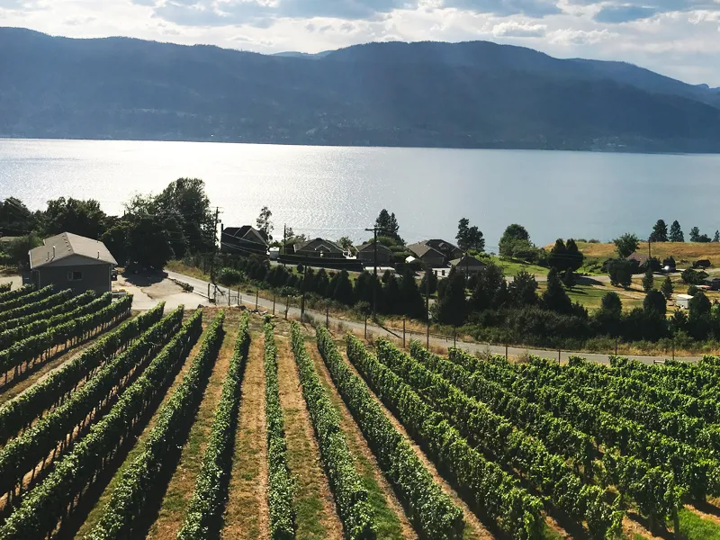 Introduction to Okanagan Valley: A Wine Lover’s Paradise