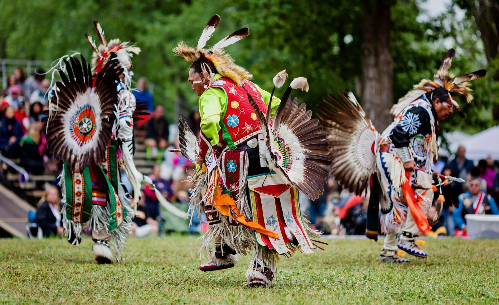 Cultural Insights: Indigenous Heritage and History