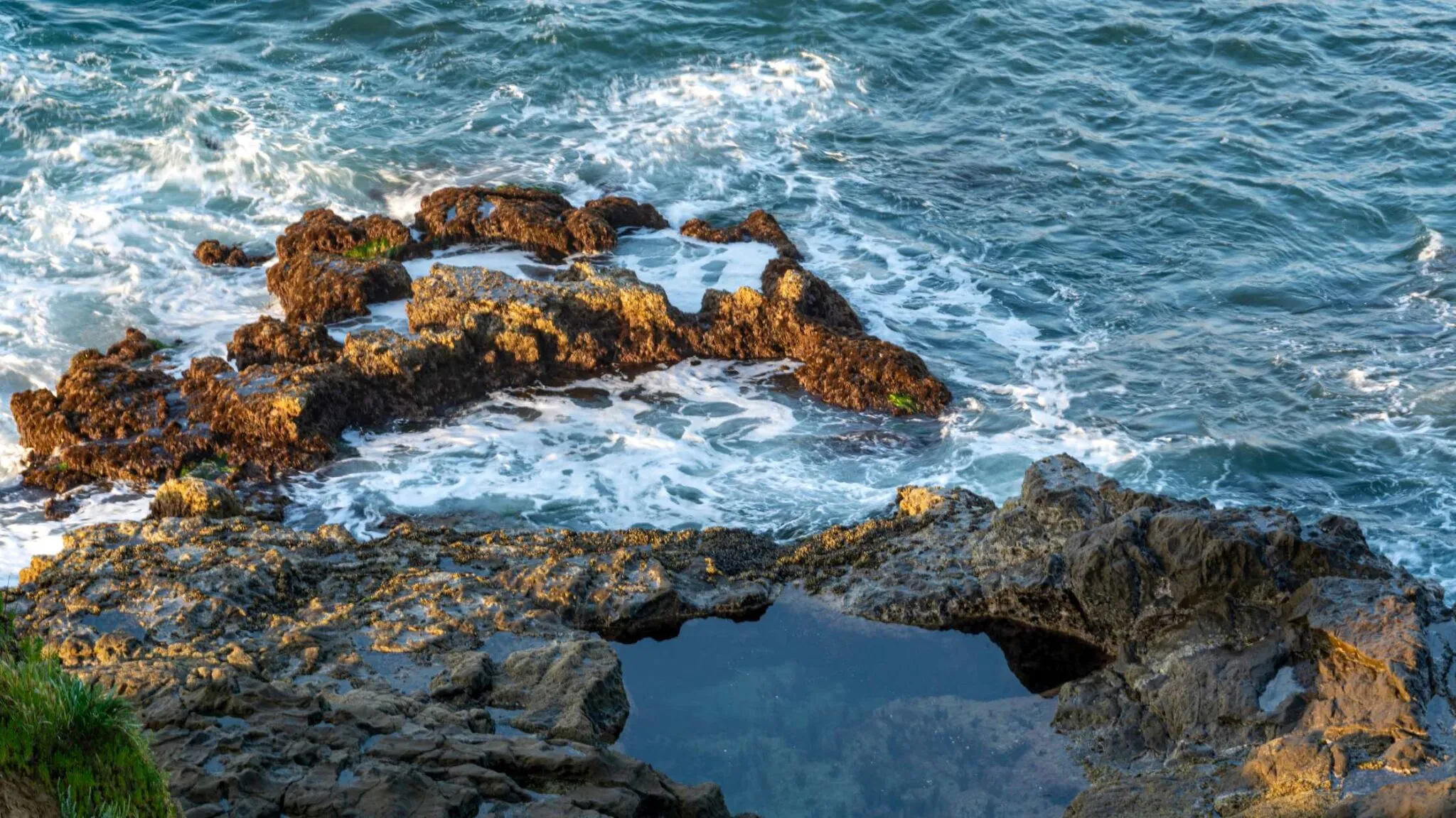 Exploring Secluded Beaches and Tide Pools