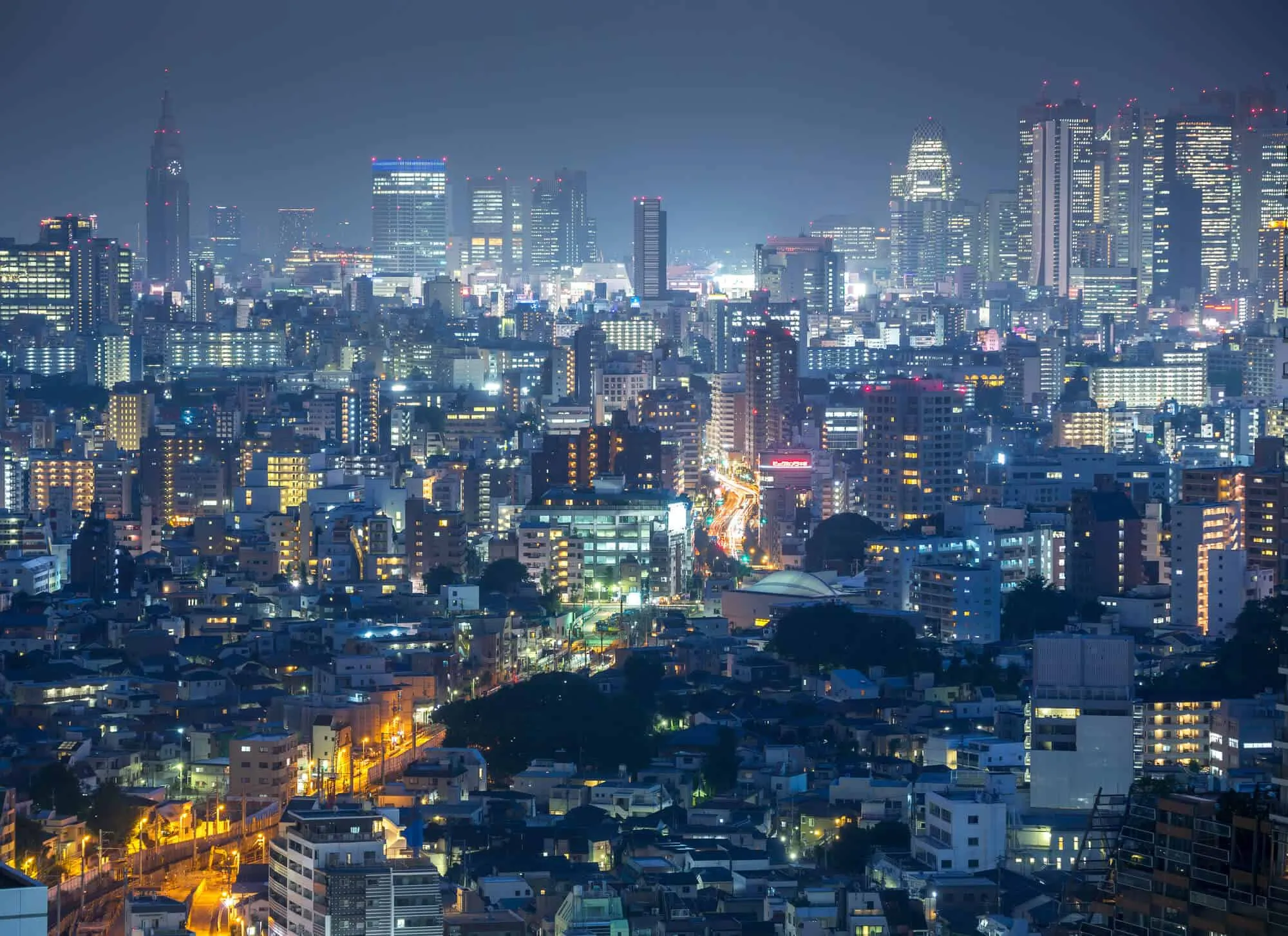 The Allure of Shinjuku at Night