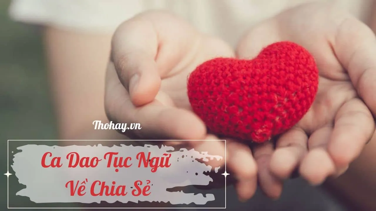 Cảm Nhận và Chia Sẻ Của Du Khách