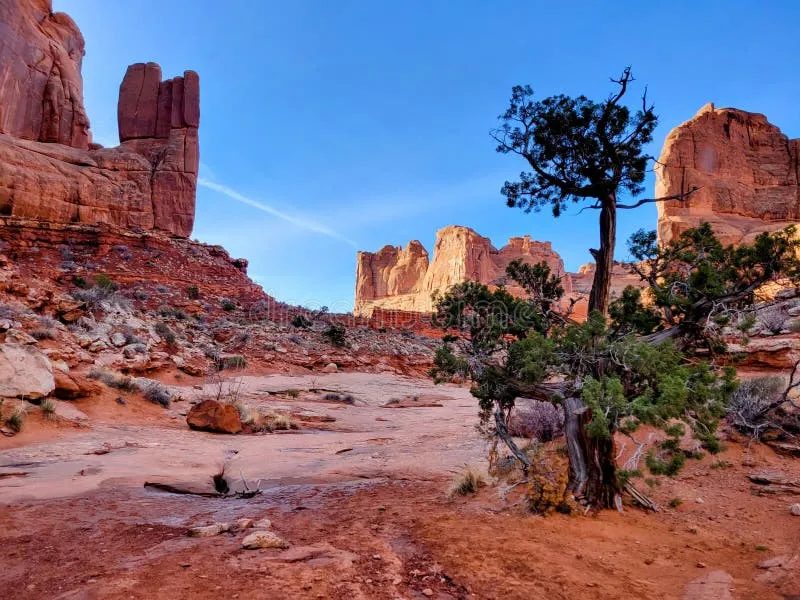 The Breathtaking Beauty of Utah's National Parks