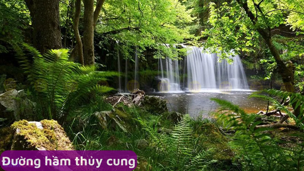 Vườn Quốc Gia Phú Quốc - Khám Phá Thiên Nhiên Hoang Dã