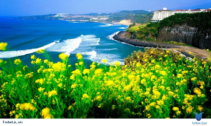 Đảo Jeju - Thiên đường nghỉ dưỡng