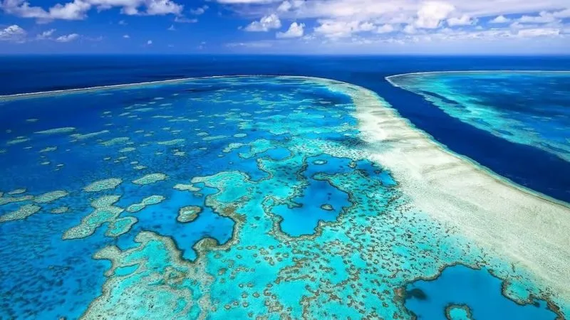 Giới thiệu về Great Barrier Reef