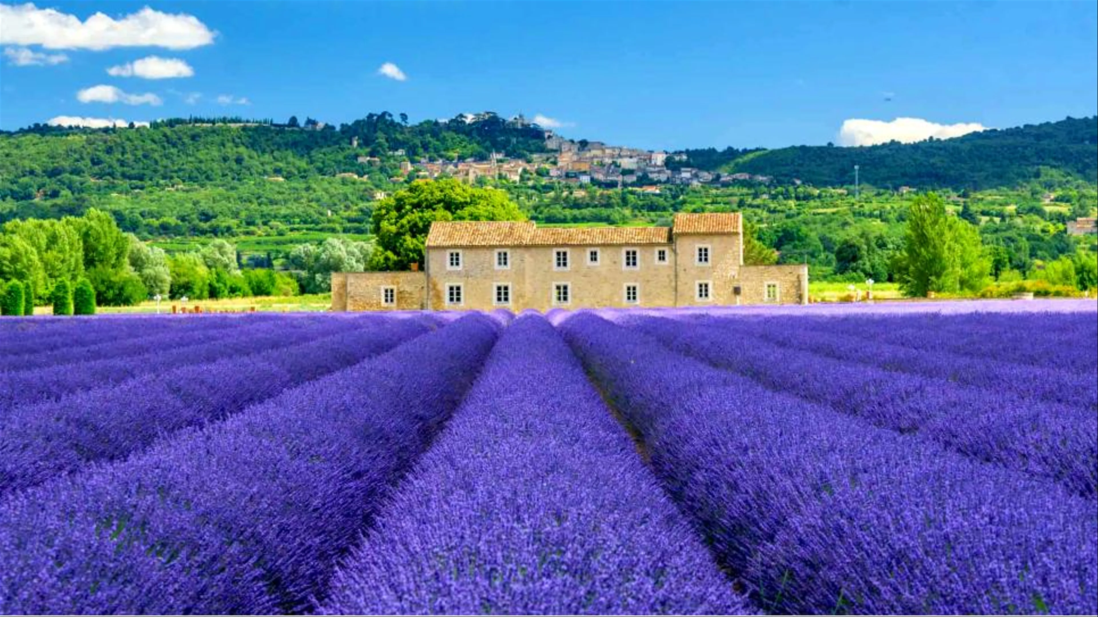 Khám Phá Vùng Provence: Nơi Sắc Tím Hoa Oải Hương Tỏa Sáng