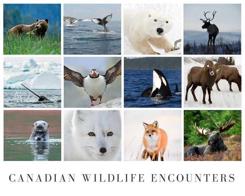 Local Wildlife and Flora: Nature's Companions