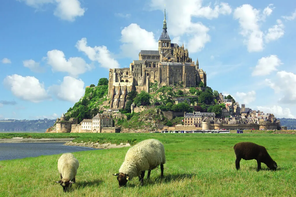 Introduction to Normandy: A Land of Rich Flavors