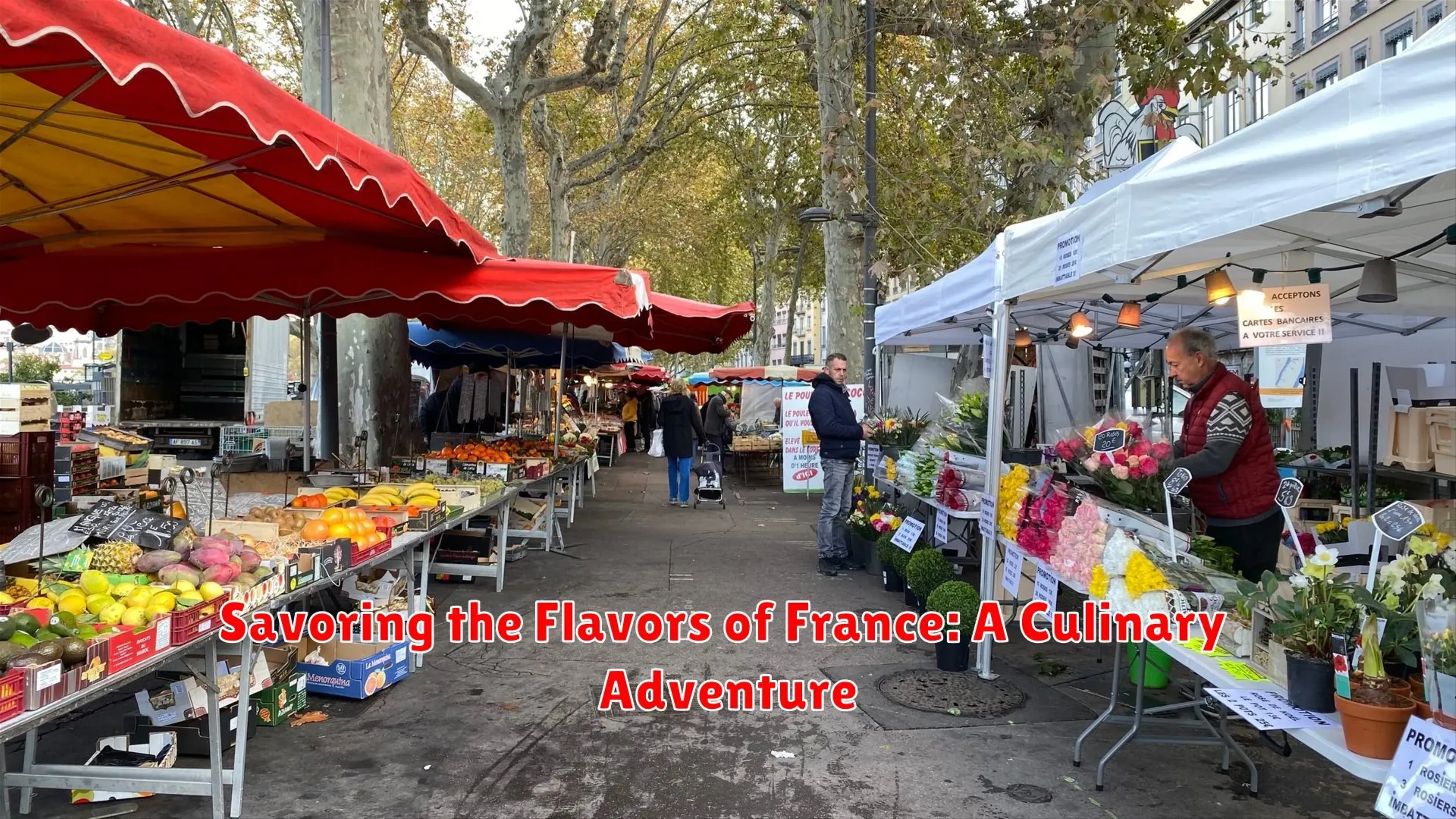Savoring the Flavors of Lyon: A Culinary Adventure in France