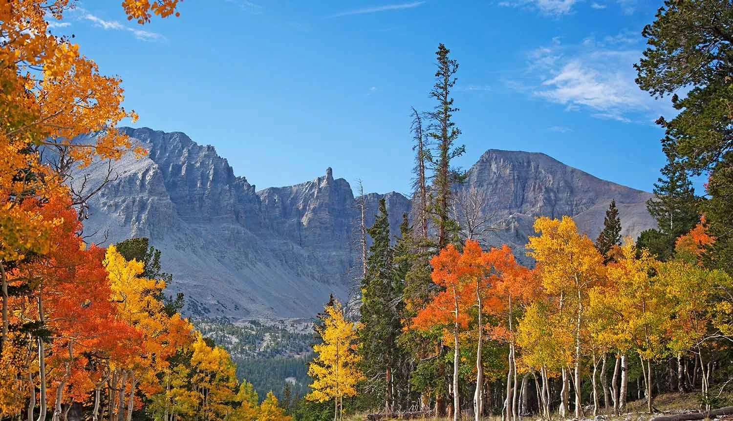Exploring the Tranquil Beauty of Great Basin National Park, Nevada