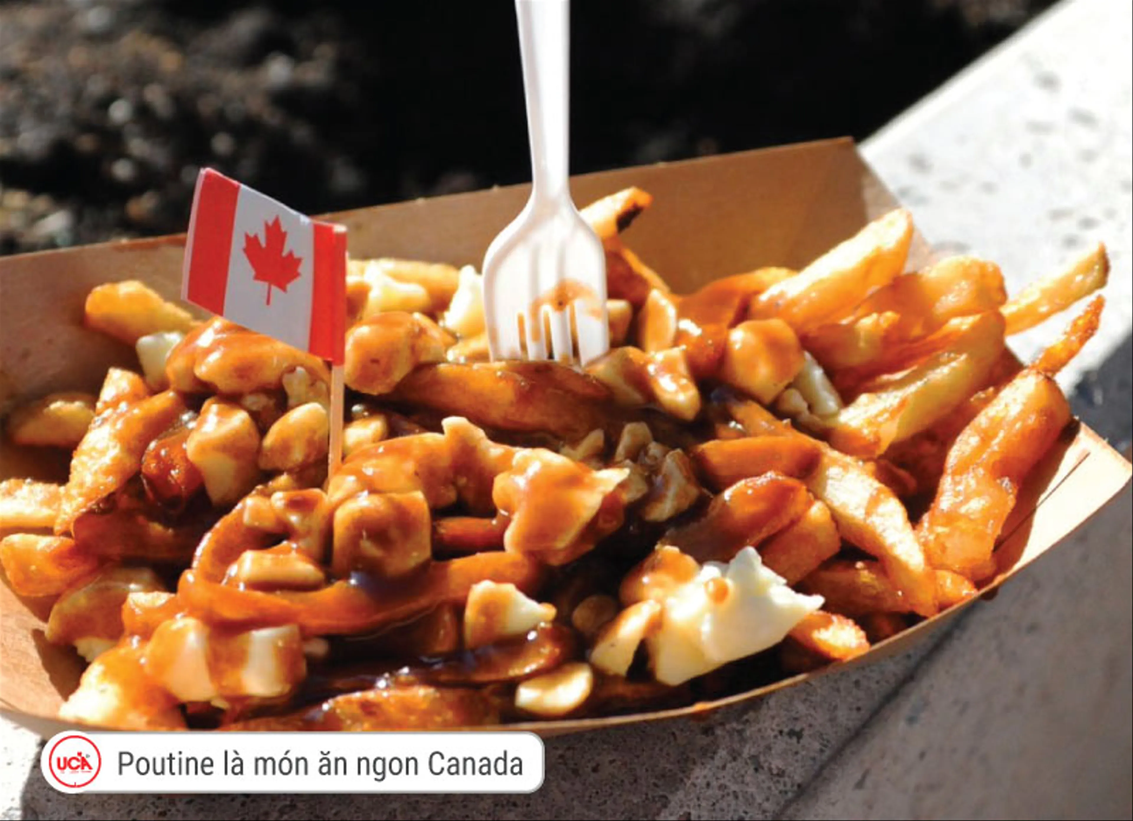 Thưởng thức Poutine đúng điệu tại Quebec: Món ăn không thể bỏ lỡ