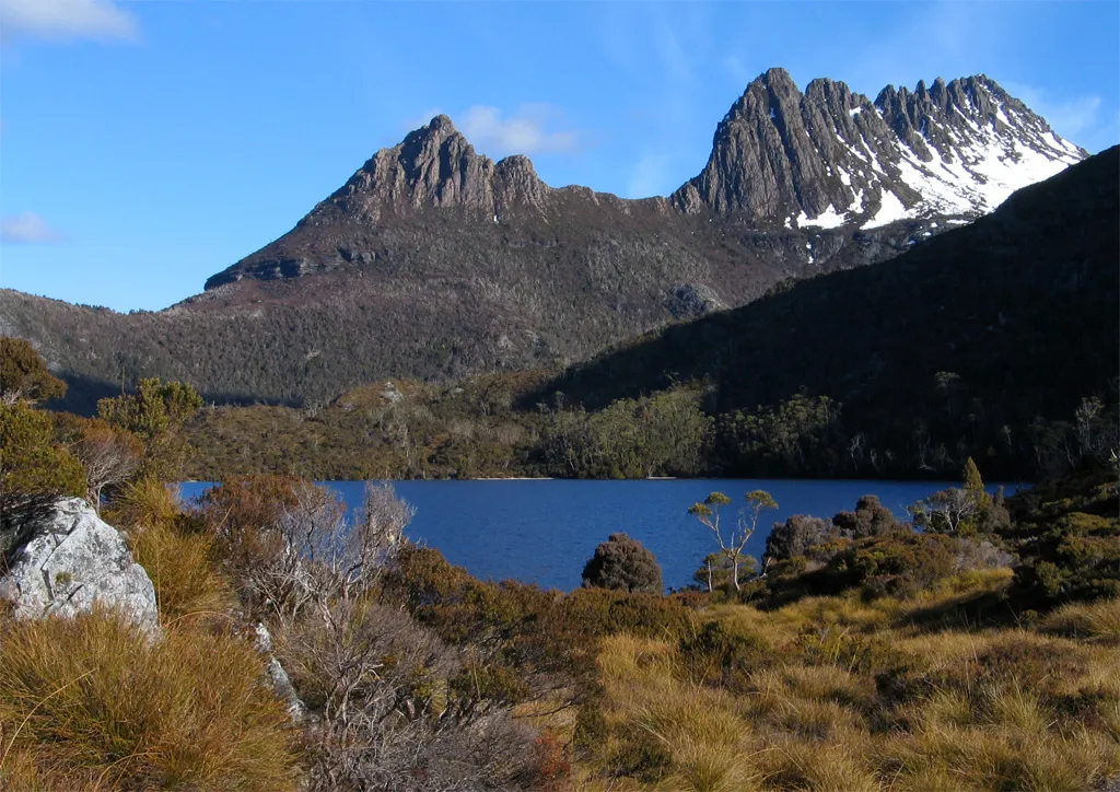 Discovering the Flavors of Tasmanian Wilderness