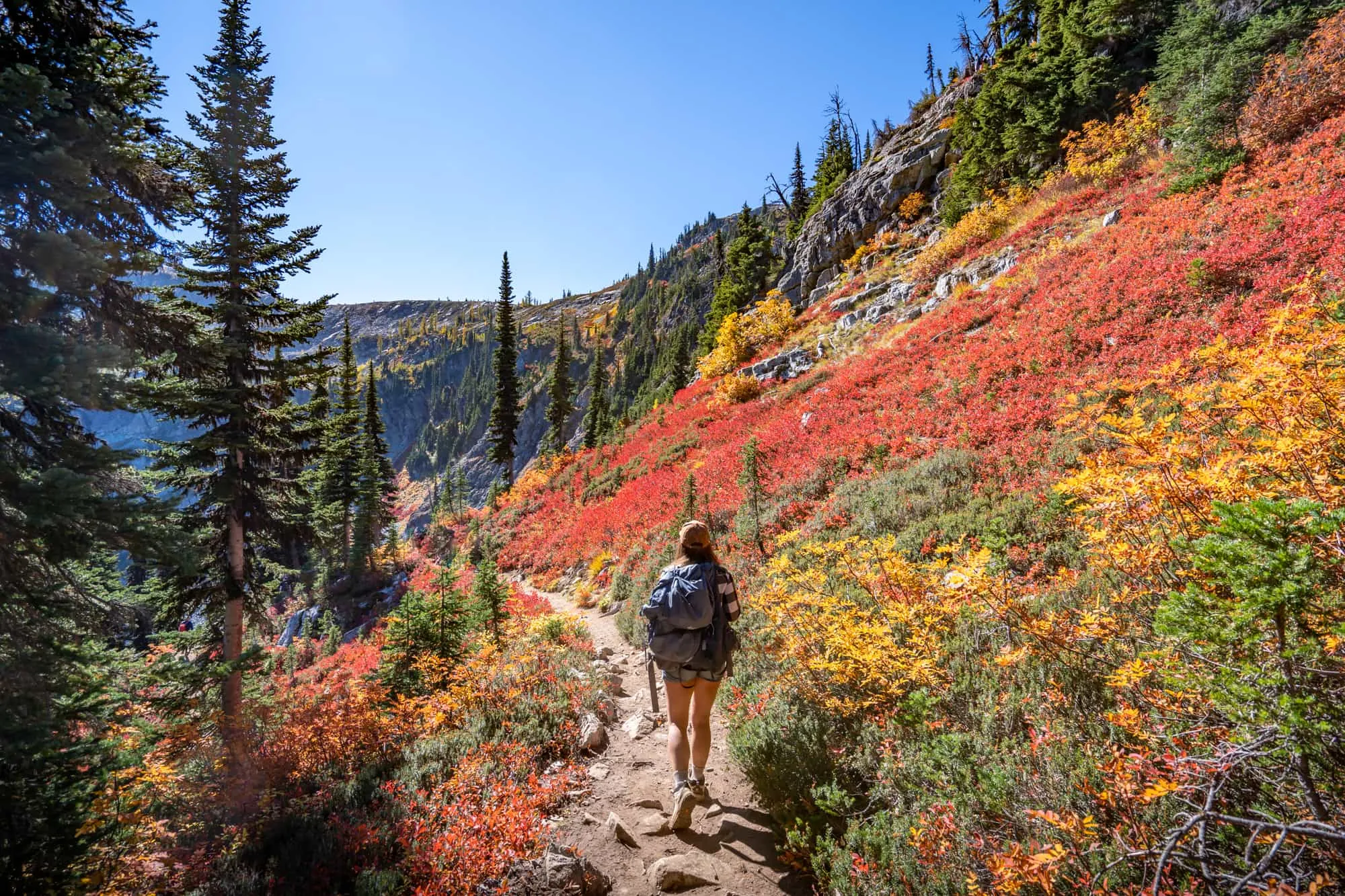 Outdoor Adventures: Hiking and Wildlife Watching