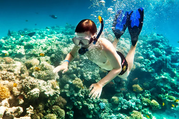 Tour Khám Phá Hòn Móng Tay, Hòn Mây Rút Phú Quốc, Câu Cá, Lặn Ngắm San Hô 01 Ngày - Rao Vặt Voucher | Đăng tin miễn phí