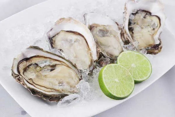 Thưởng Thức Hàu Tươi Ngon