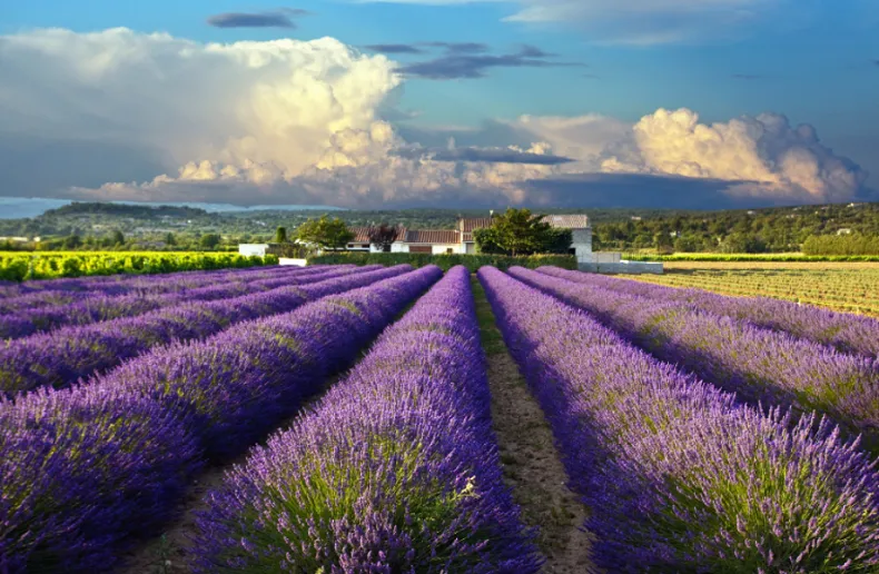 Những lưu ý khi du lịch Provence