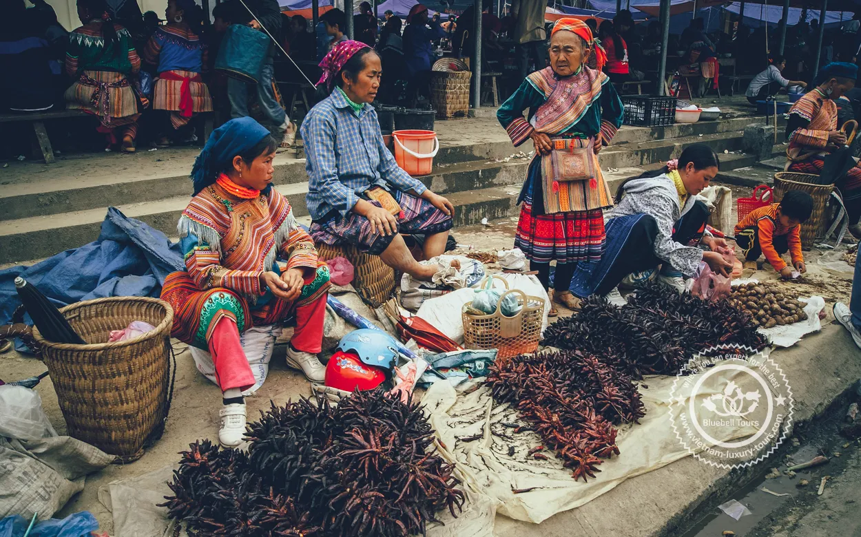 Ethnic Diversity: Exploring the Cultural Mosaic of Ha Giang